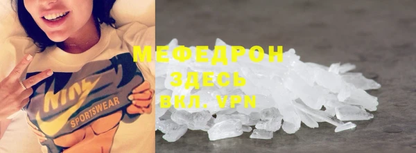 индика Елизово