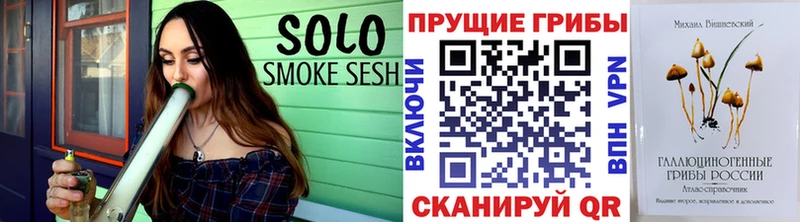 Галлюциногенные грибы Psilocybe  продажа наркотиков  Петров Вал 
